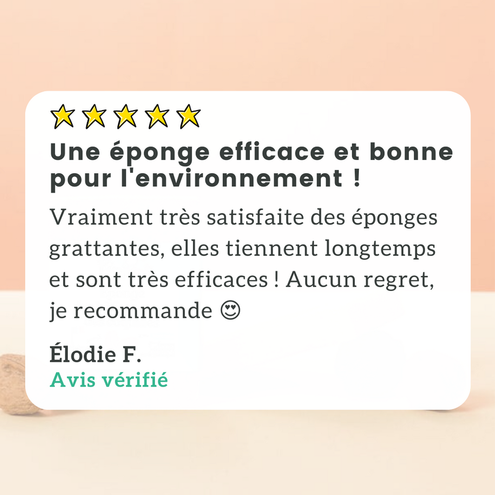 Plant-Based Sponge Scourers (x2)