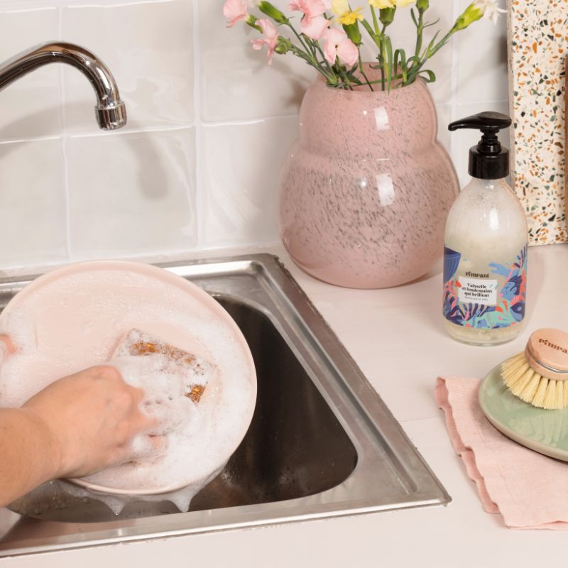 Citrus Washing-Up Liquid Refill (x1)